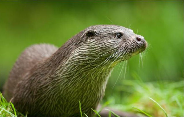 Dit jaar doen we iets nieuws!