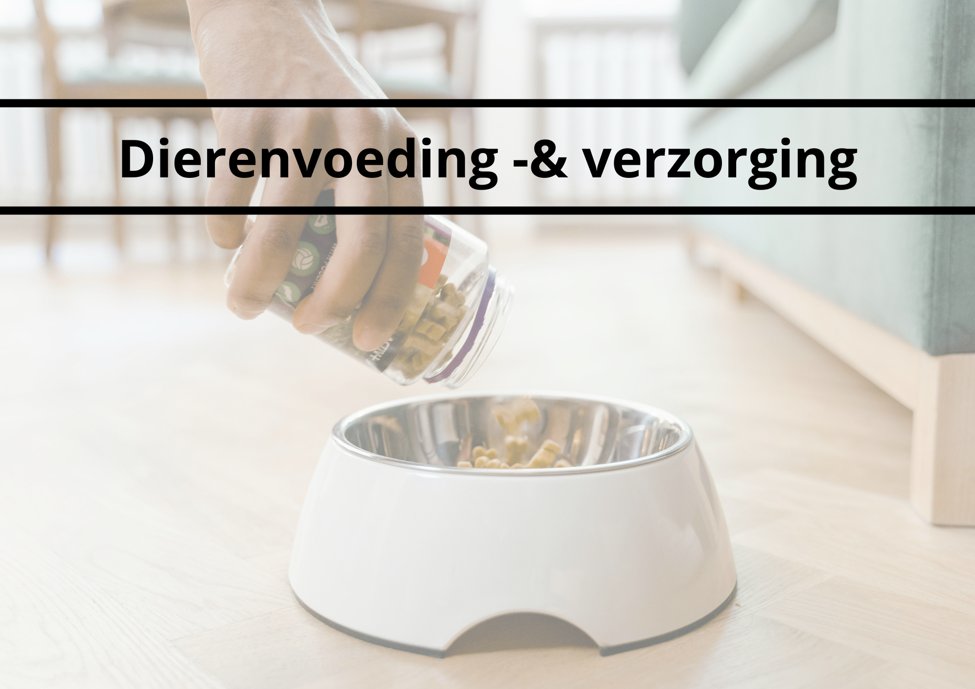 Sector in de kijker: dierenvoeding -en verzorging